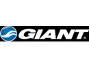 Giant